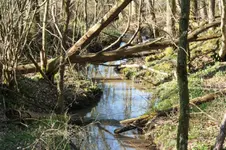 Revier 17.04 (6).webp