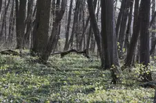 Revier 17.04 (11).webp