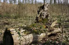 Revier 16.04 (31).webp