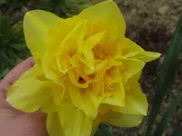 IMG_3709_1024x768.webp