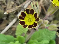 IMG_3708_1024x768.webp