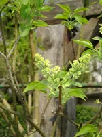 DSC02631.webp
