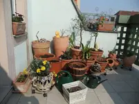 DSCF0687.webp