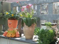 DSCF0689.webp