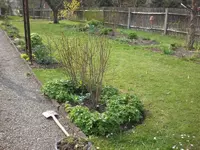 Garten April 3 008.webp