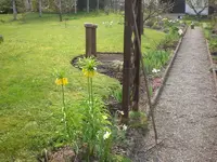 Garten April 3 009.webp