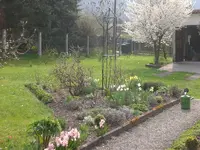 Garten April 3 012.webp