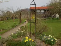 Garten April 3 015.webp