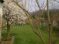 Garten April 3 016.webp