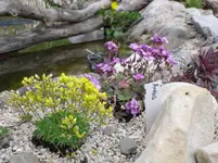 19.4.2010 020.webp