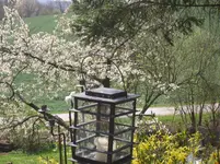 19.4.2010 030.webp