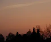 DSC_4896.webp