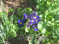 010.webp