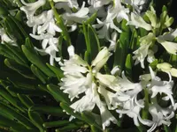 011.webp