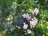 022.webp