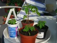 CIMG3139.webp