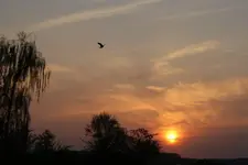 Sonnenuntergang.webp