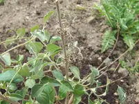 DSCF8230.webp