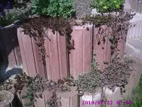 PIC00513.webp