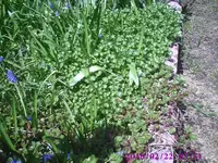 PIC00520.webp