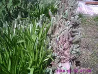 PIC00519.webp