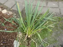 Fotos 002.webp