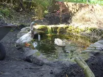 Fotos 001.webp