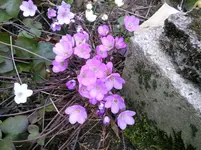 Foto0082.webp