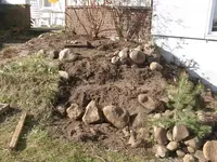 Steinbeet 20.04.2010 001.webp