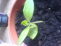 DSC00999.webp