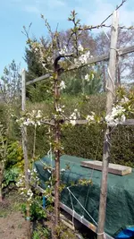 SDC10719.webp