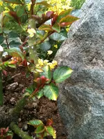 012.webp