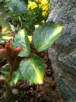 014.webp