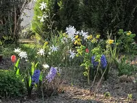 Garten40.webp
