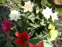 20.04.2010 004.webp