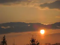 IMG_0763.webp