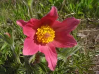 CIMG9303.webp