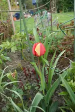 DSC02601.webp