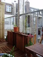 P4180258.webp