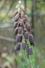 DSC02603.webp