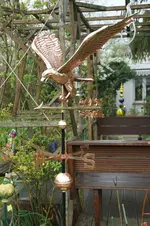 DSC02600.webp