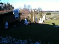 Garten.webp