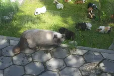 100_0872.webp 100_0872.webp