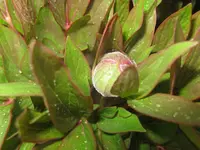 IMG_3768_1024x768.webp