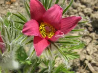 IMG_3743_1024x768.webp
