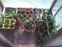 Bild0016.webp