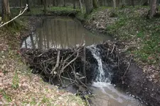 IMG_0015.webp