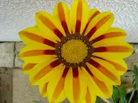 DSC01373.webp