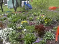21.04.2010 001.webp