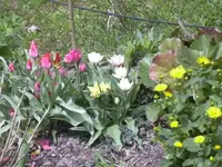 21.04.2010 003.webp